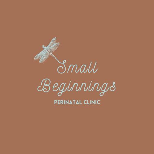 Small Beginnings - Durban Perinatal Clinic